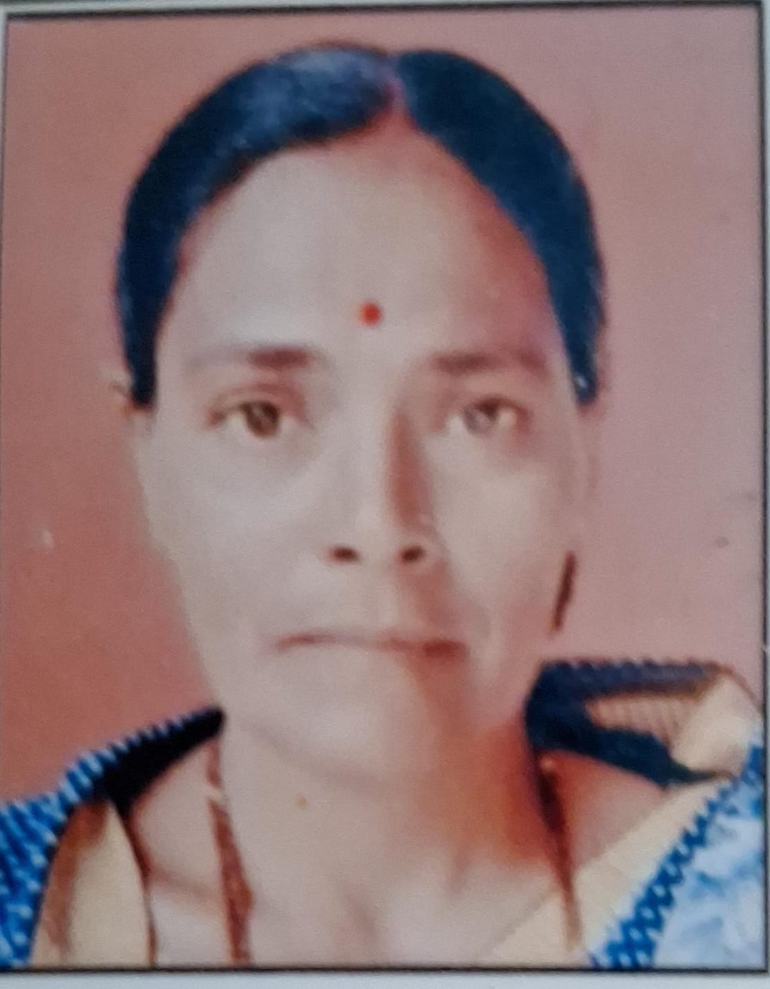 सदस्य